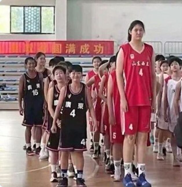 チャンツーユウの高身長の参考画像
