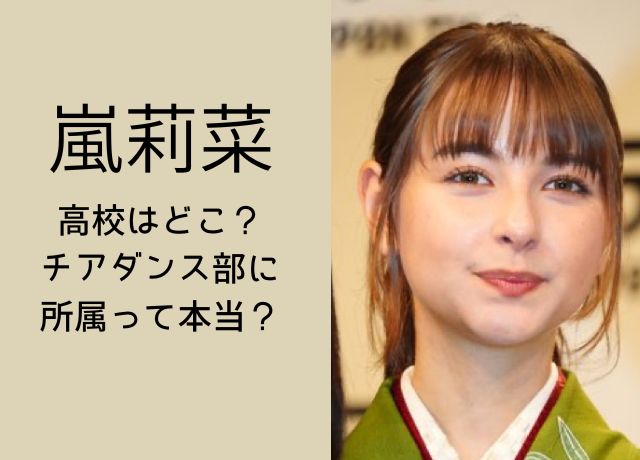 嵐莉菜の高校はどこ?