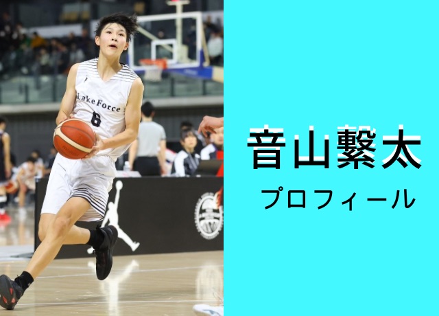 音山繋太のプロフィール