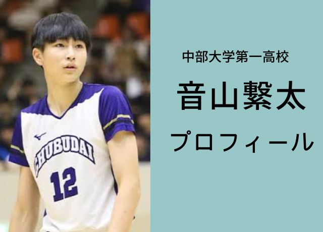 音山繋太のプロフィール